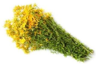 Herbes