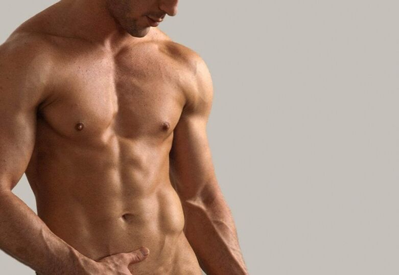 Haut du corps masculin
